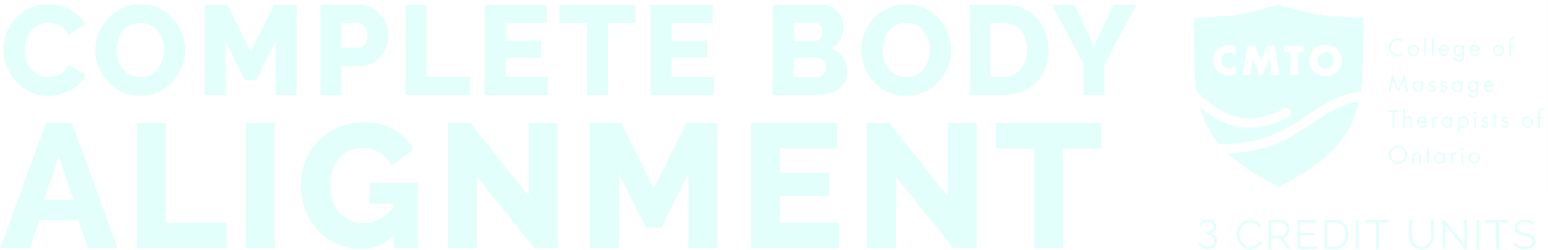 Complete Body Alignment